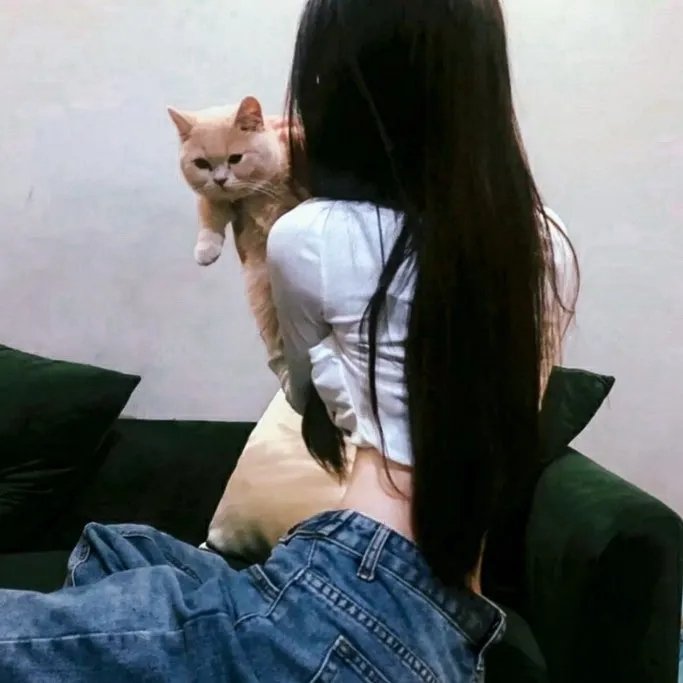 灵偶契约