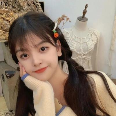 新儿女英雄传